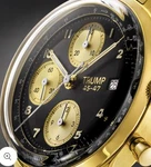 Trump Watches Racer Chrono - Black #17/75. Fixed Price $6000.00.