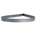 Lenox 47834CLB103300 Band Saw Blade, Ft. 10" L, 1" 30HJ53. Fixed Price $99.50.