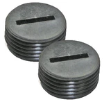 Ridgid R3030/R3101/R3100 (2 Pack) Replacement Brush Cap 516851001-2PK. Fixed Price $9.98.