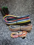 Compustar CM-900 Wire Harness With Blade-al. Fixed Price $25.00.