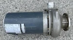 Marathon Jet Pump Motor MZK3.0DC1M SSPJ53 3HP 1725RPM 208-230/460V 3PH Vk. Fixed Price $380.00.